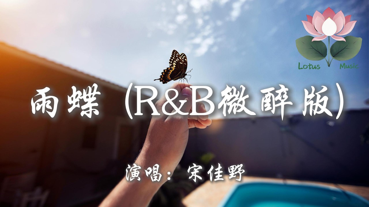 宋佳野 - 雨蝶 (R&B微醉版)『我向你飛 雨溫柔的墜 像你的擁抱把我包圍』【動態歌詞MV】