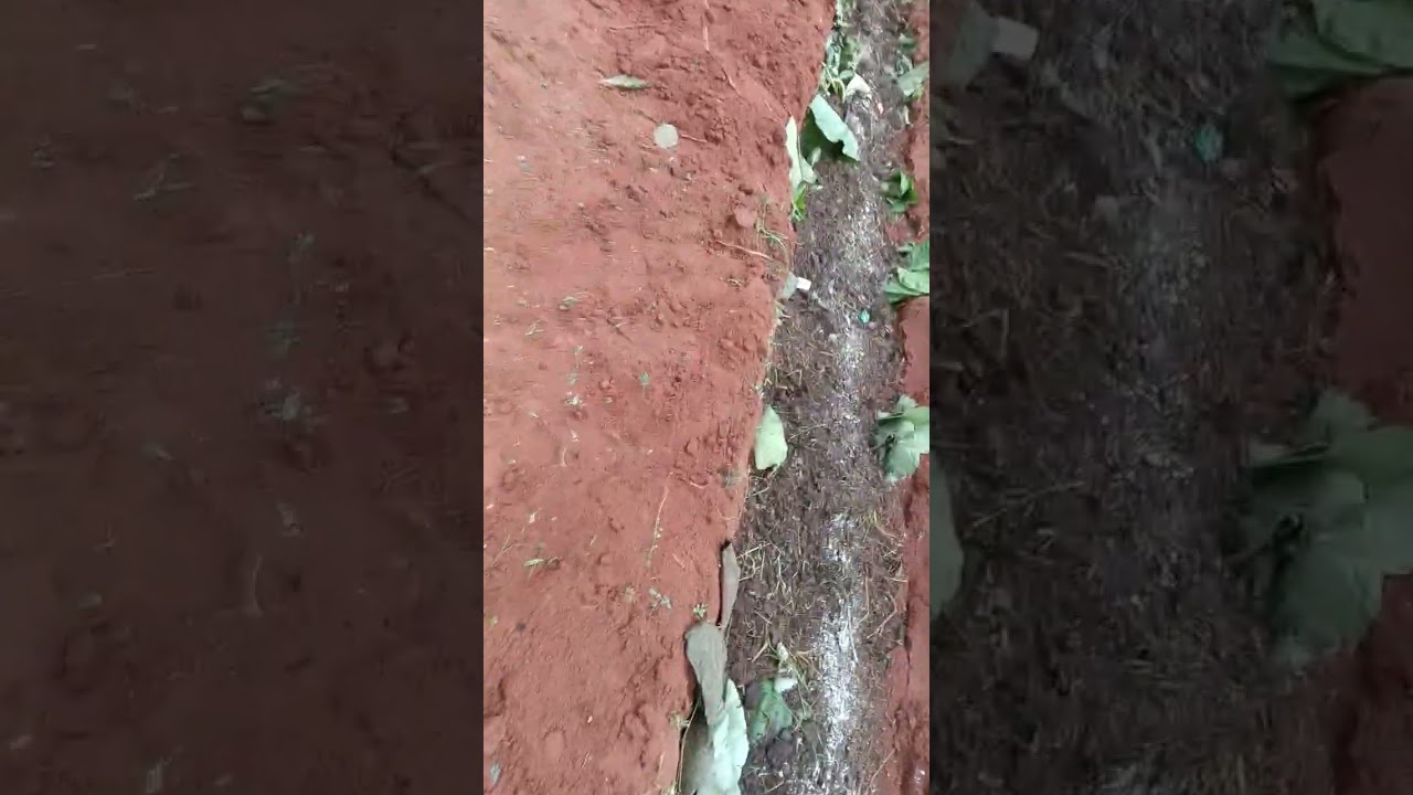 விவசாயம் மற்றும் விவசாயிகளை ஆதரிப்போம்...