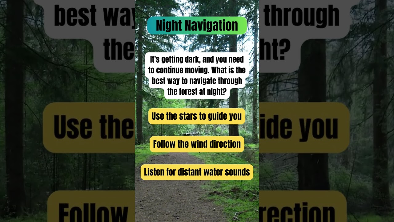 Test Your Survival Skills: 🌲 Fun Quiz Challenges to Boost Your Outdoor Knowledge! 🏕️