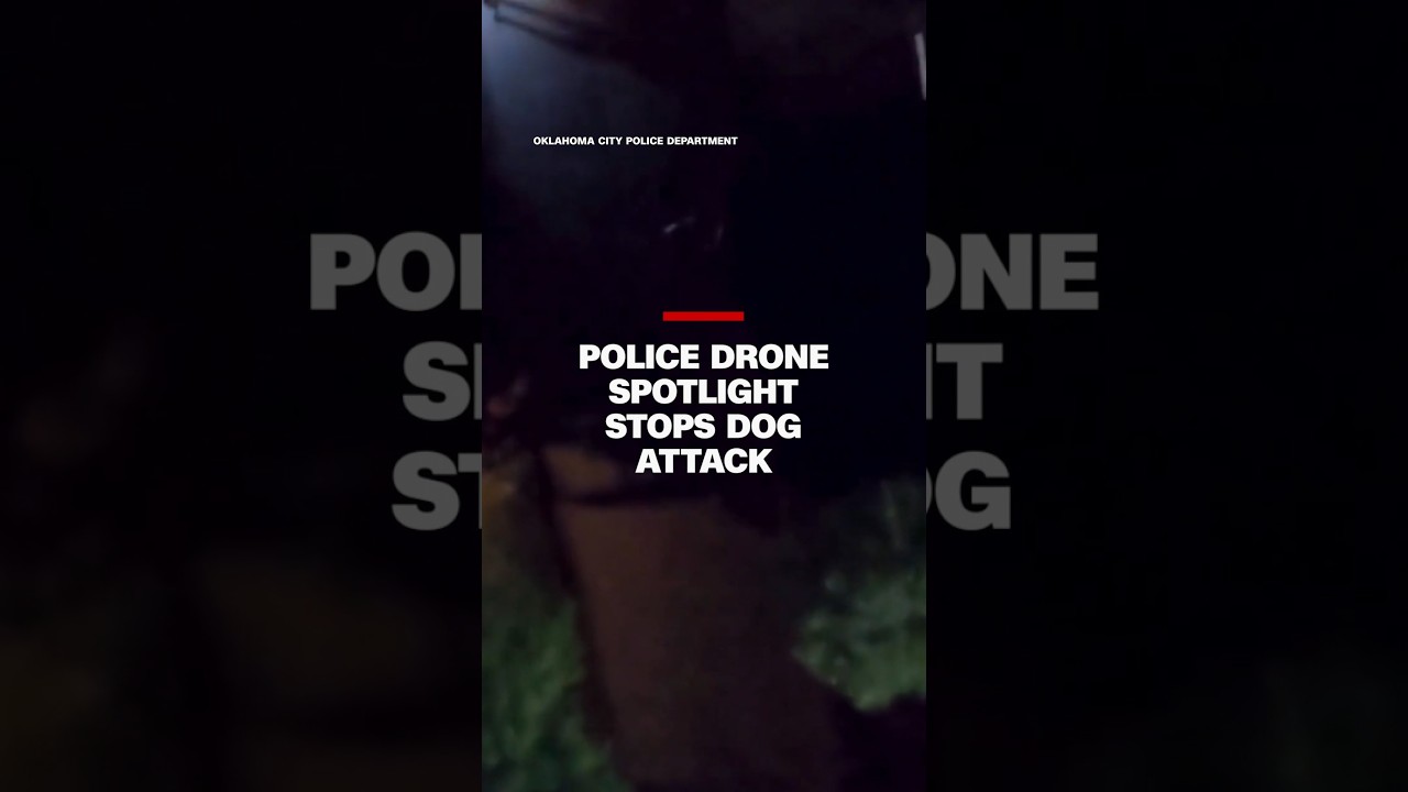 Police drone spotlight stops dog attack