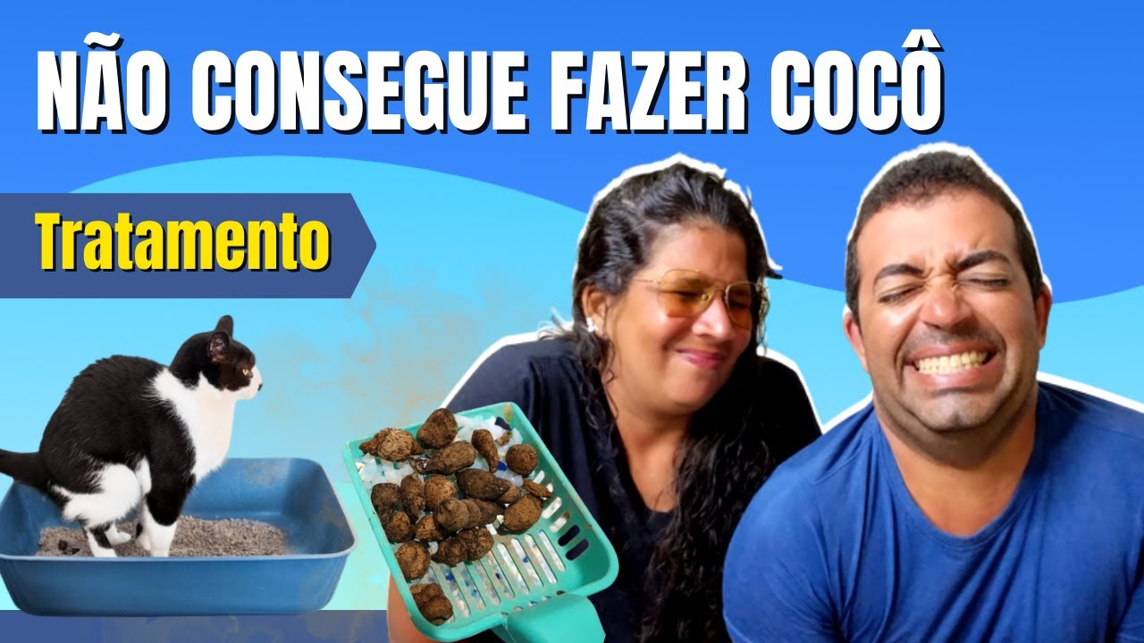 CONSTIPAÇÃO EM GATOS  Causas, Sintomas e Tratamentos