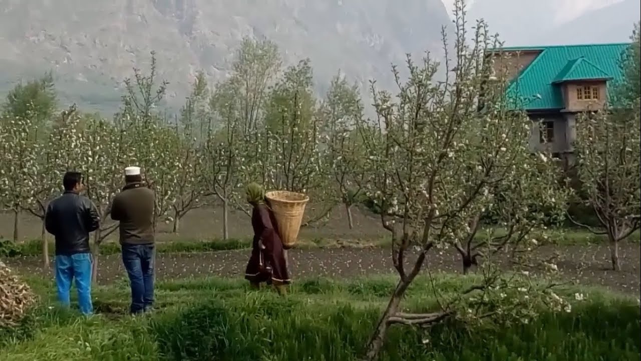 Lahaul Spiti || Goushal Village Life || Tandi Sangam Chandra and Bhaga River