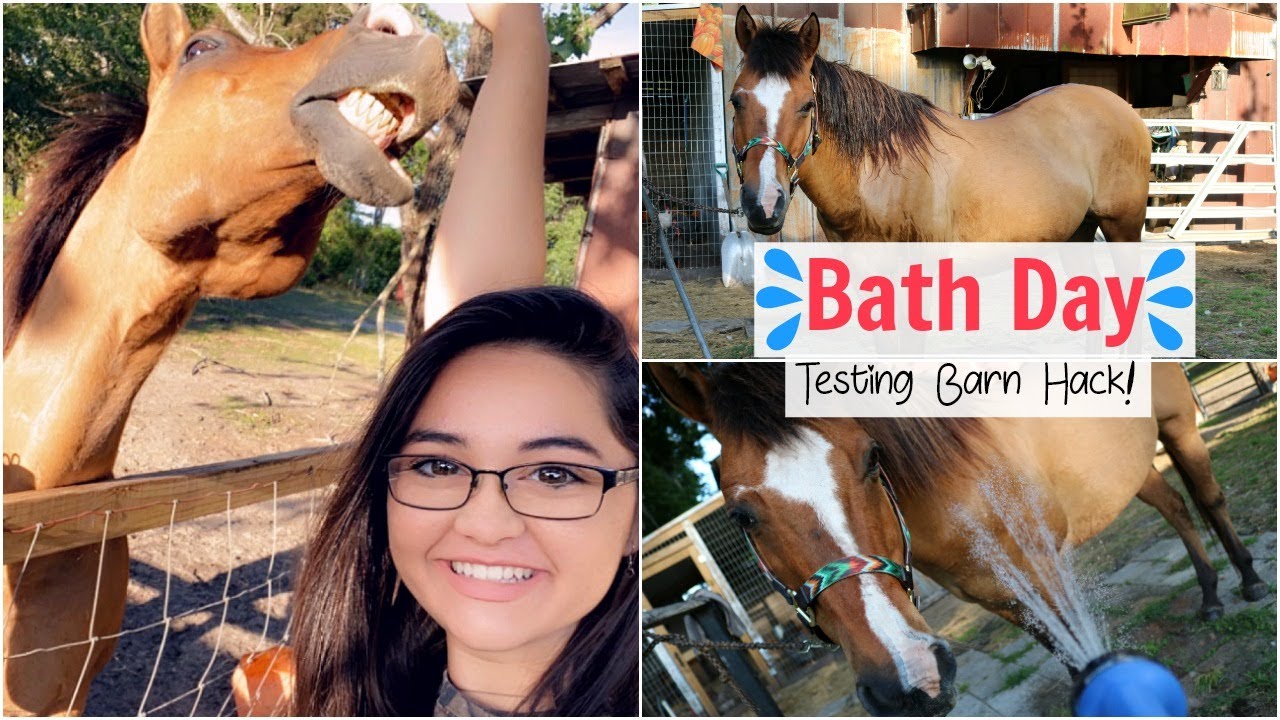 Testing Barn Hack - BATH DAY w/ Bluejeans &hearts;