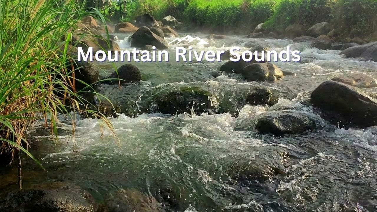 8 Hours Peaceful River Sounds for Deep Sleep All Night | Steady Natural Forest Water Flow