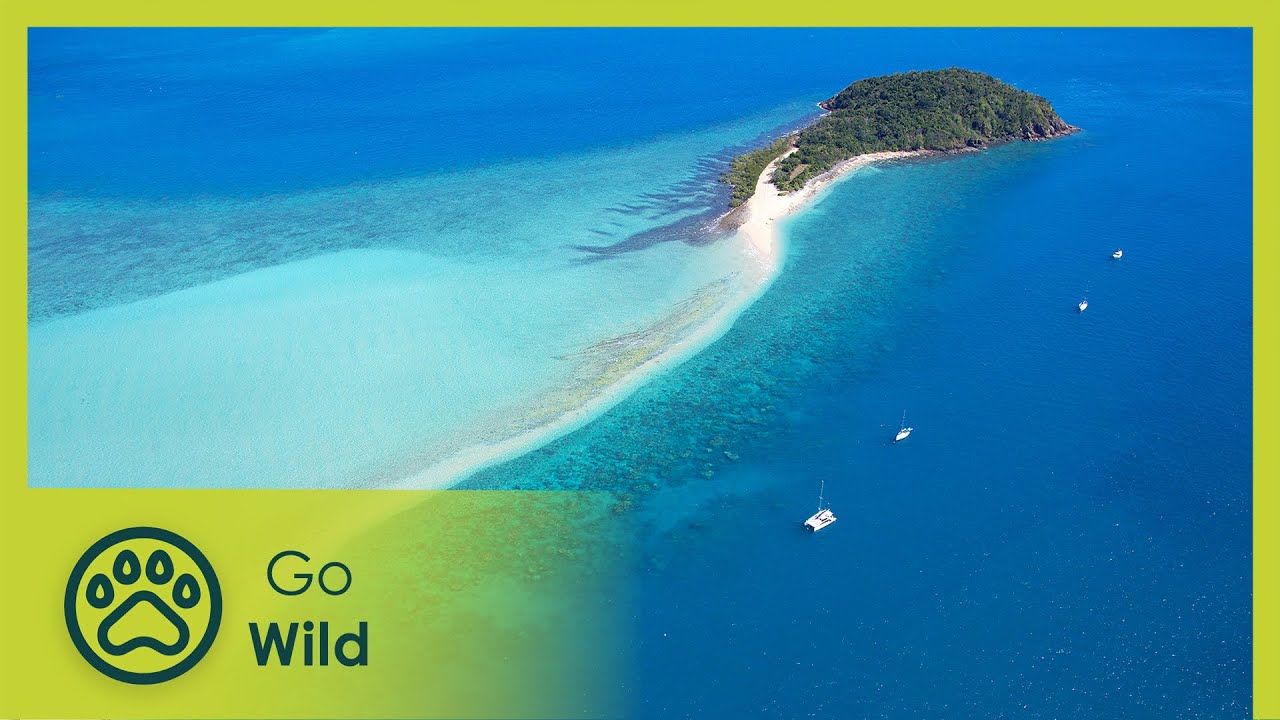 Australia's Greatest Islands - Go Wild