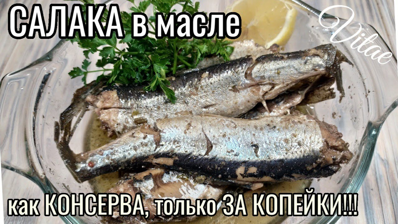 Приготовьте так САЛАКУ - выходит как КОНСЕРВА в МАСЛЕ, очень бюджетно и вкусно!!