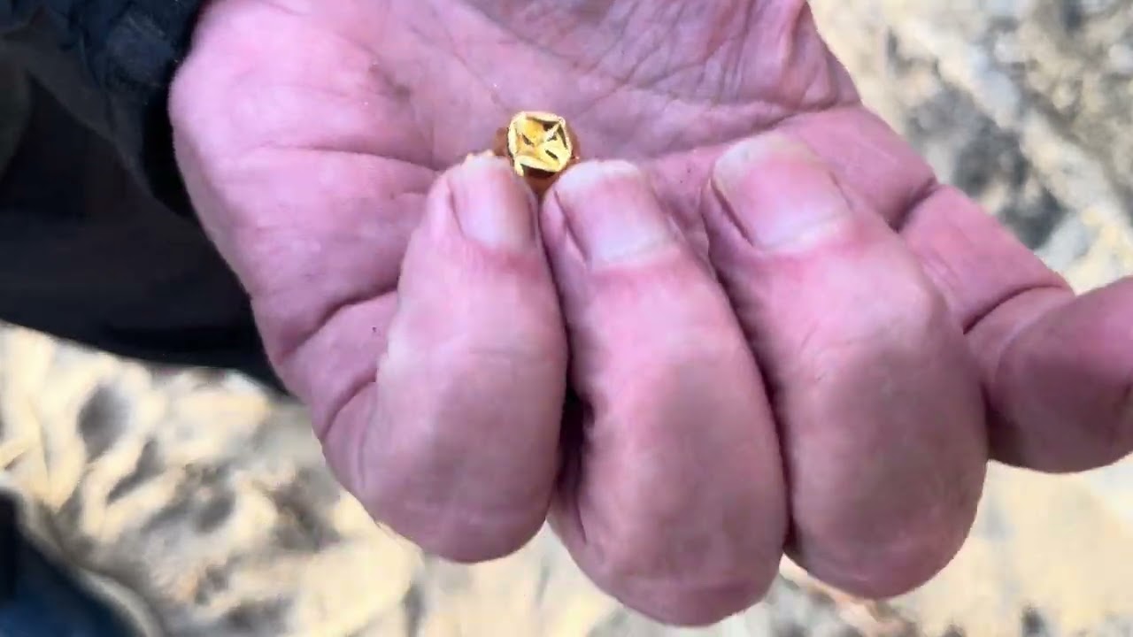 Jackpot!! I find Gold with my £39 metal detector