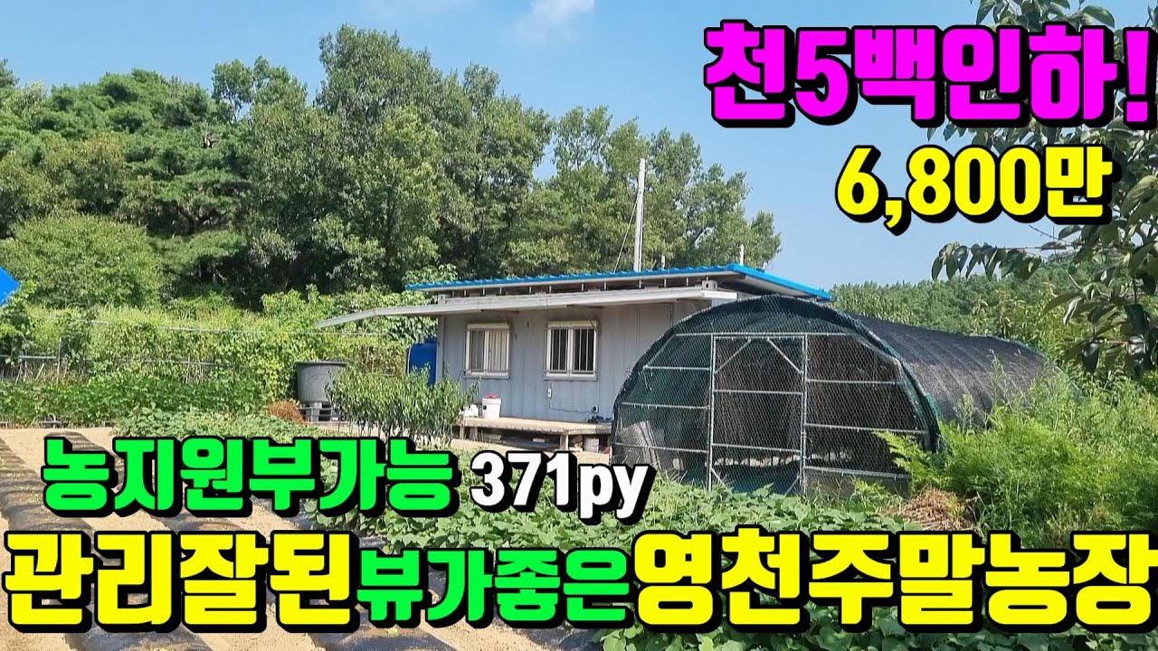 [No.154]1,500내리고~아내분 허리를다쳐서 포기합니다.언덕위 뷰가좋고 농지원부가능한 영천주말농장매매(371py)6,800만/영천부동산가이드/영천부동산