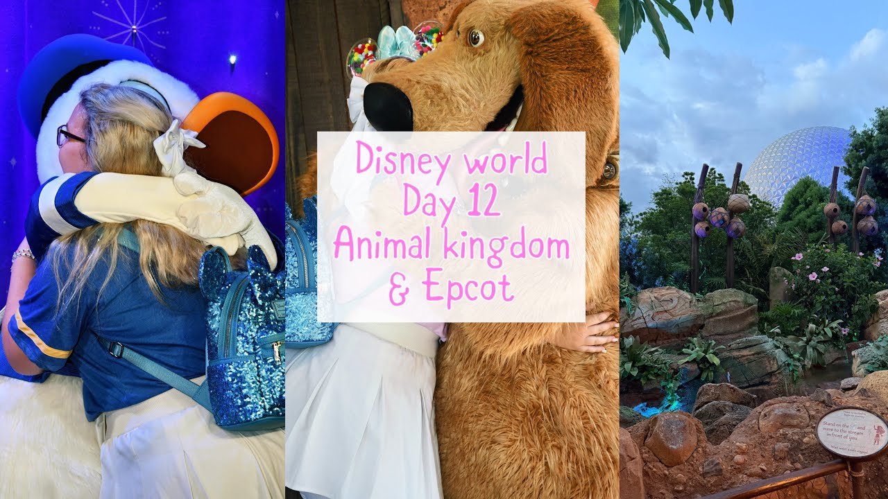 Disney world 2025 day 12