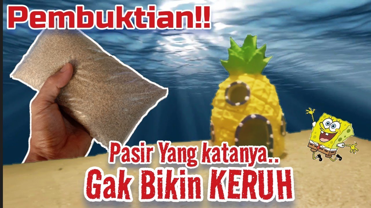 Pasir Aquarium Terbaik Sepanjang masa!!