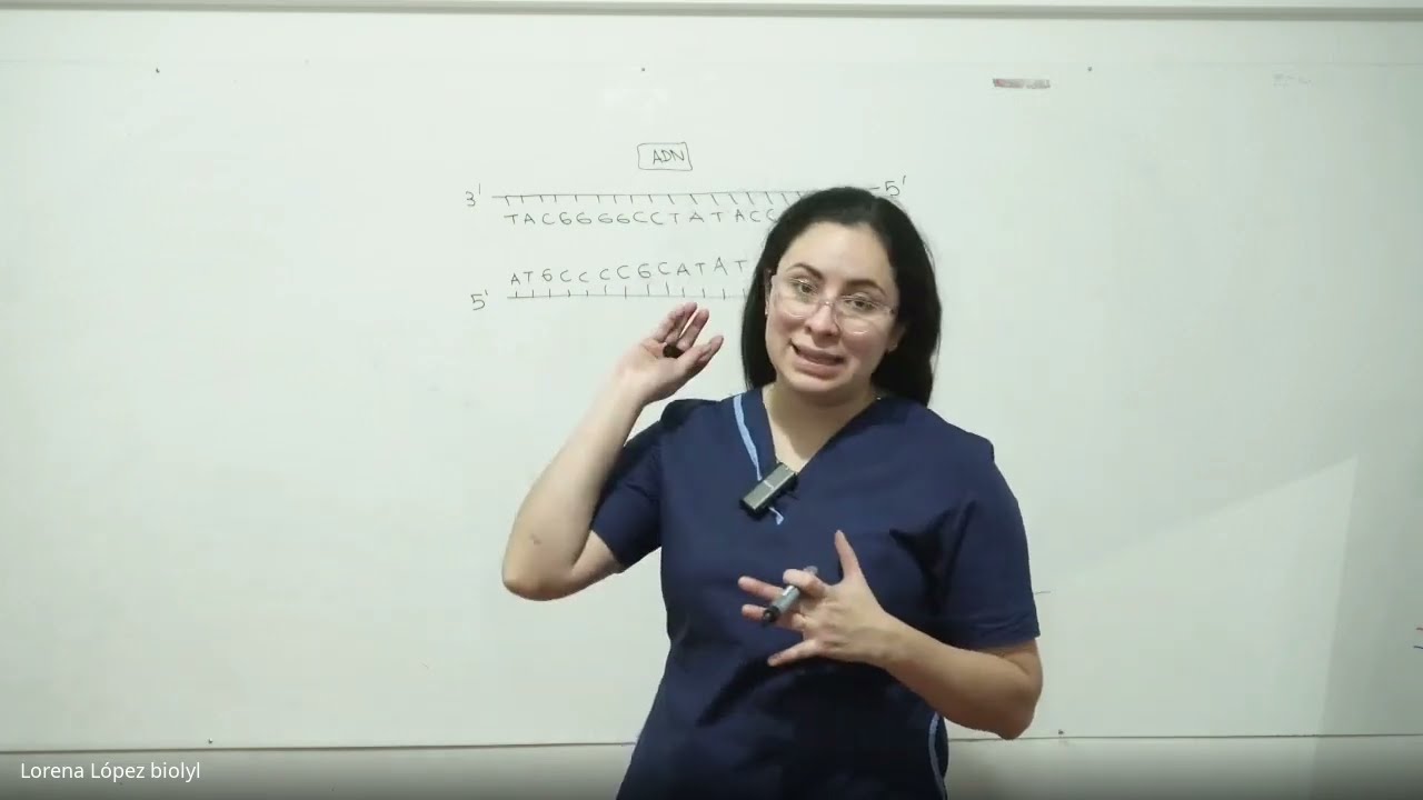Clase 34. Transcripción.