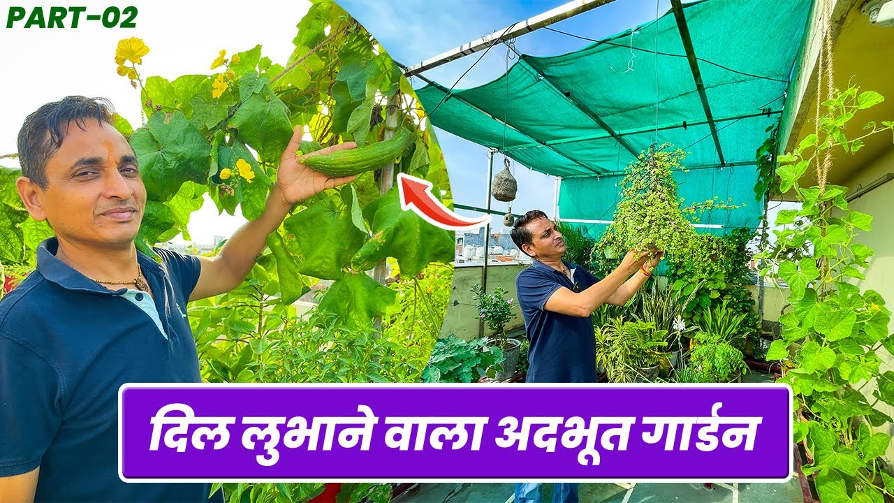 दिल्ली का ये गार्डन आपका मन मोह लेगा  😍 🥰Terrace Garden Tour 😯 Delhi Series 🪴