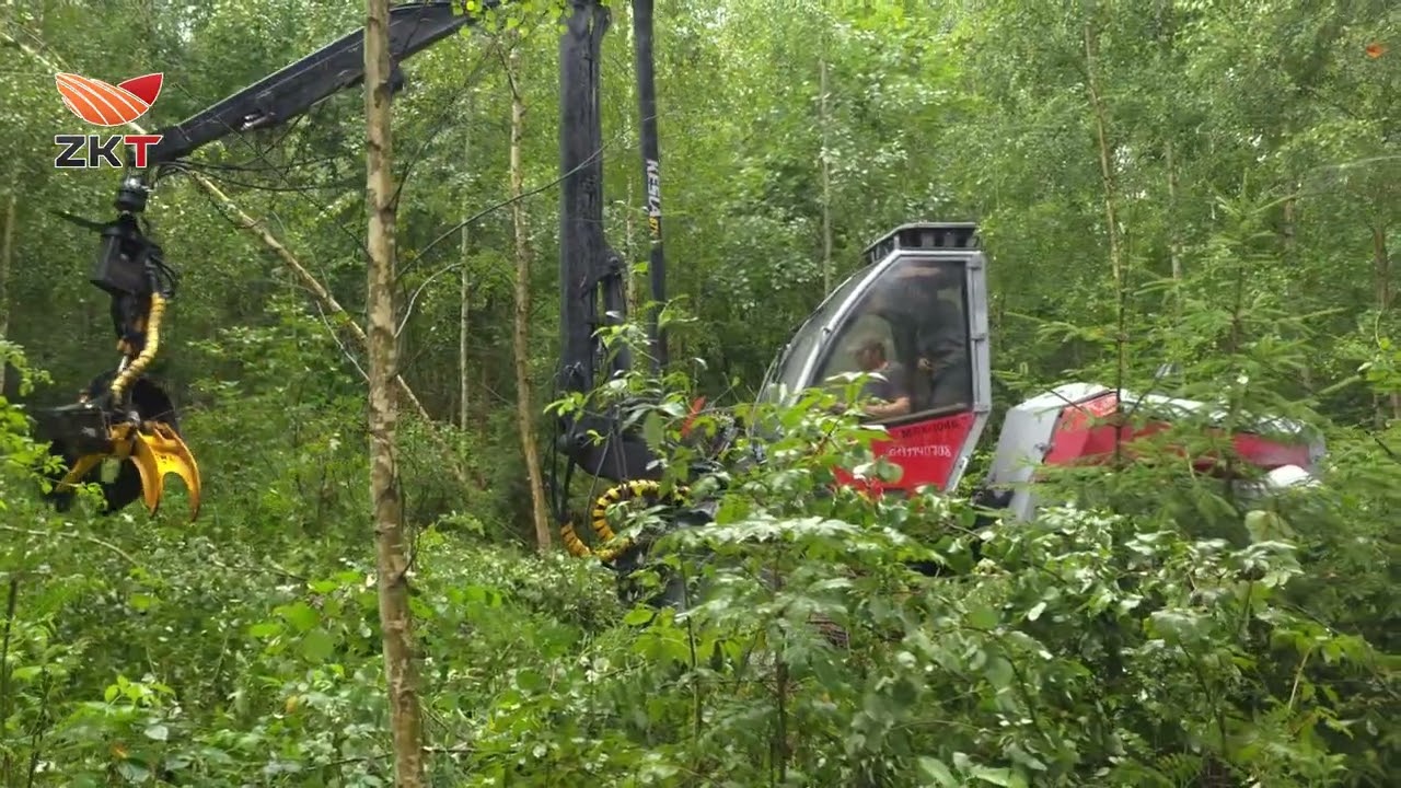 Валочная головка ZKT-200TMK на базе харвестера BELARUS-SAMPO