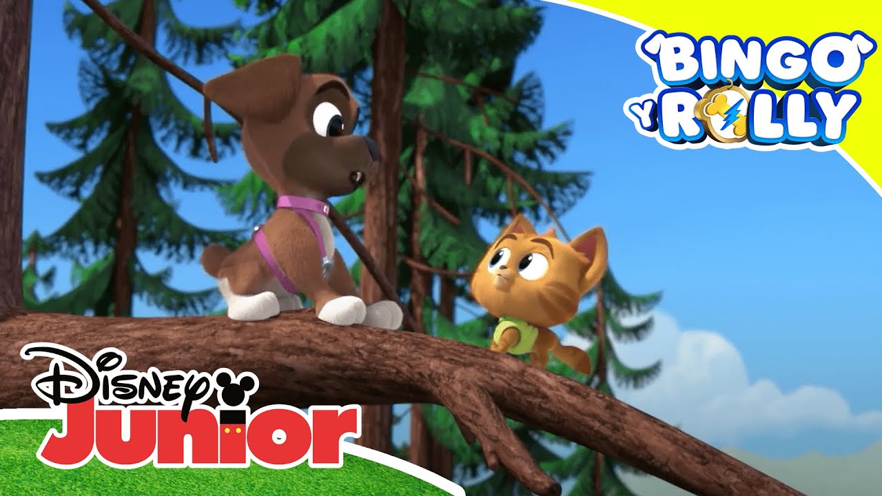 Bingo y Rolly: ¡Misión diversión! | Disney Junior Oficial