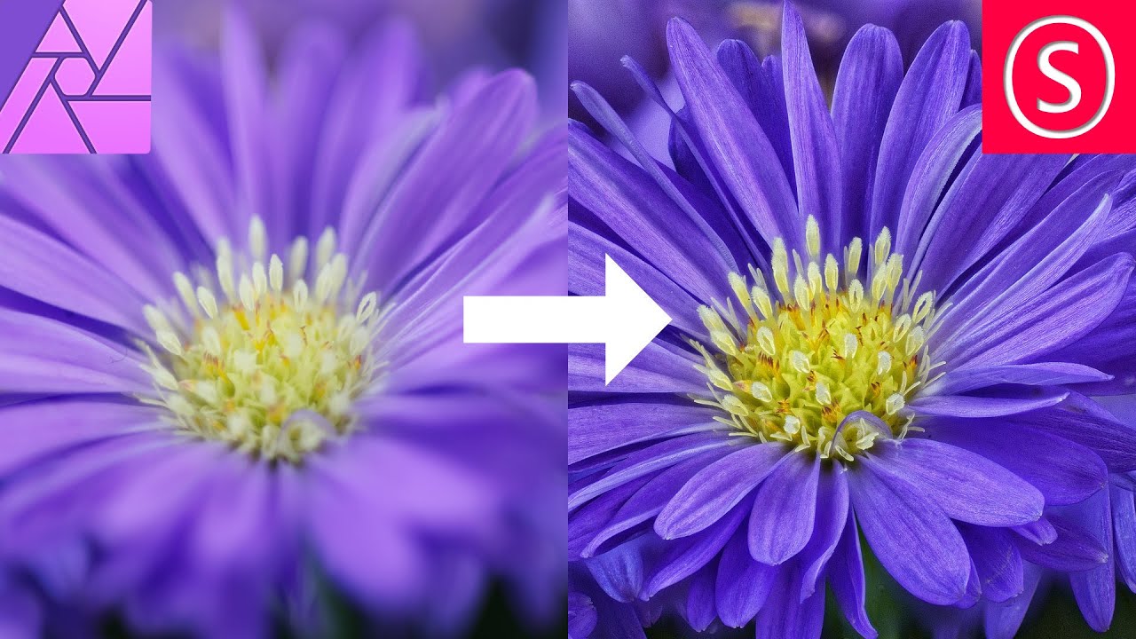 Focus Stacking / Focus Merging in Affinity Photo // How to - Beginner Tutorial