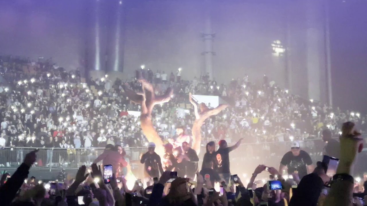 PNL DA  CONCERT ZENITH DE LILLE 13 NOVEMBRE 2017