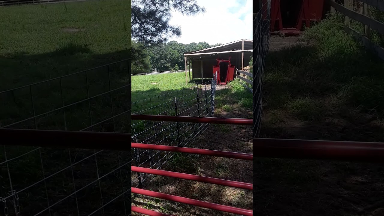 Frugal Farm Hand