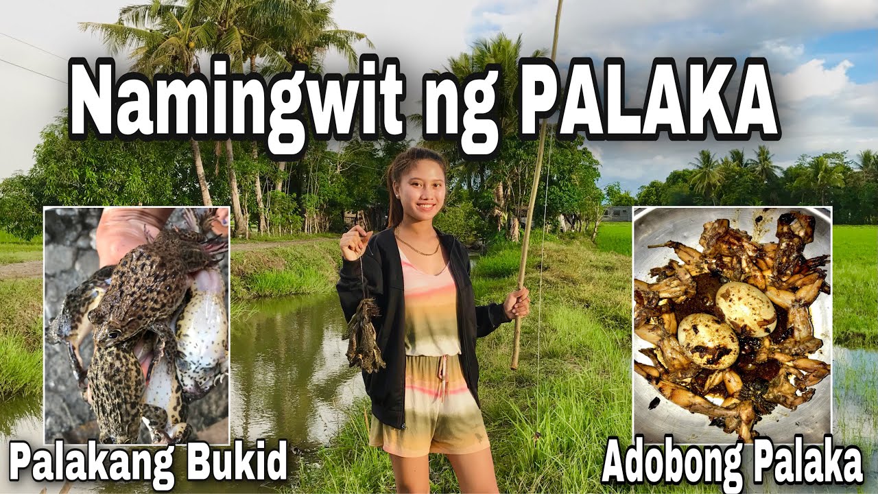 Miss Sinam-it Namingwit ng Palakang Bukid (w/ Shout Out) &ldquo;Adobong Palaka&rdquo;