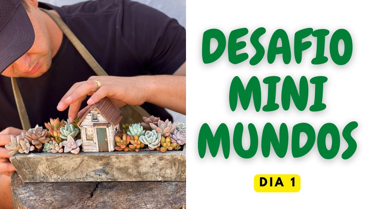 DIA 1 - O QUE SÃO MINI MINDOS