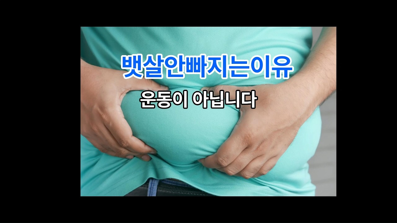 중년뱃살,운동해도 안 빠지는 진짜 이유