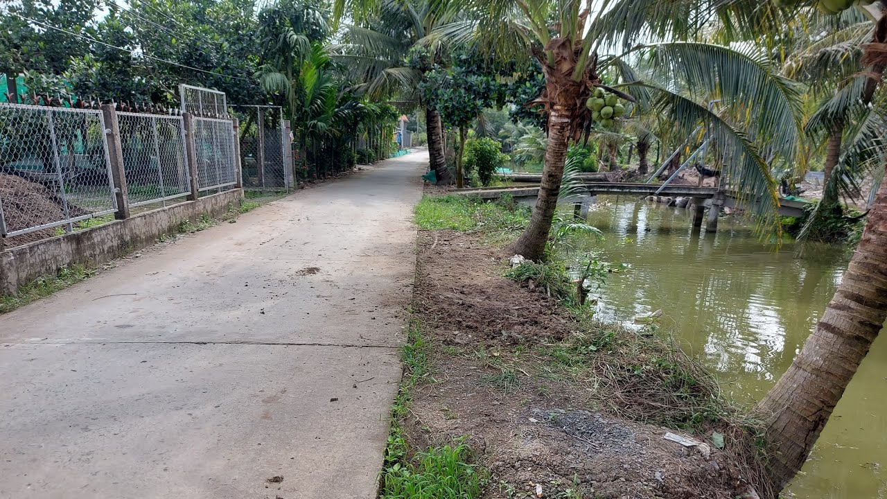 Đất nền gần chợ Tân Hội ngay cầu Bưng Bồn Bồn đường Huỳnh Văn Đức khu vực dân cư đông đúc và an ninh