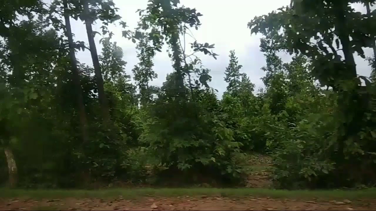 Natural beauty of odisha