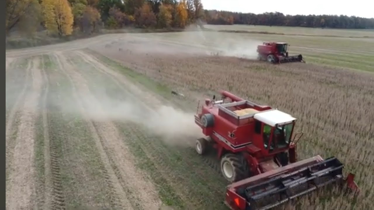 IH 1460 And Case IH 1640 Working Together! Soybean Harvest Ohio!