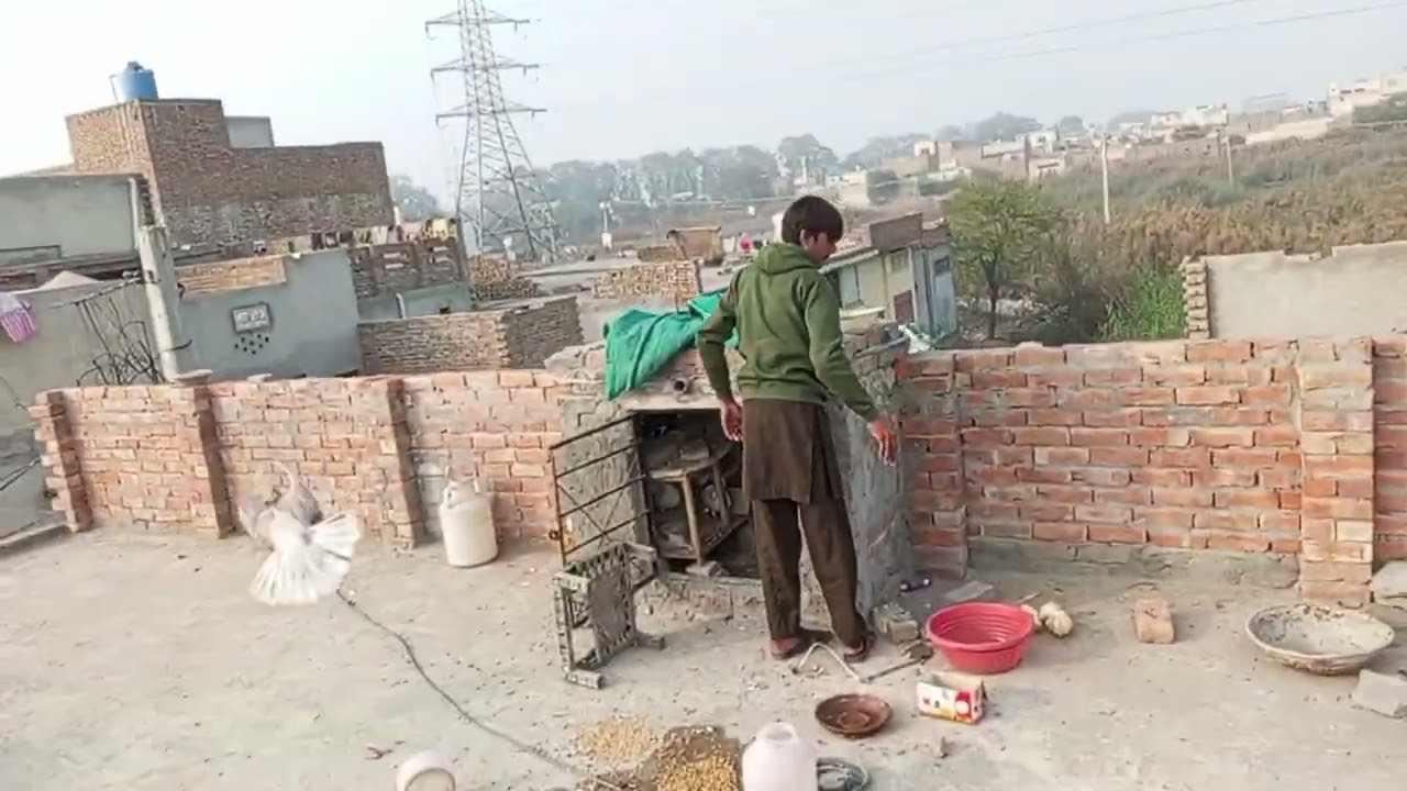 #kabutarandekabdetehain #kabutar flying video #chicks #foryou #pigeon #kabootarba # famous pigeon 