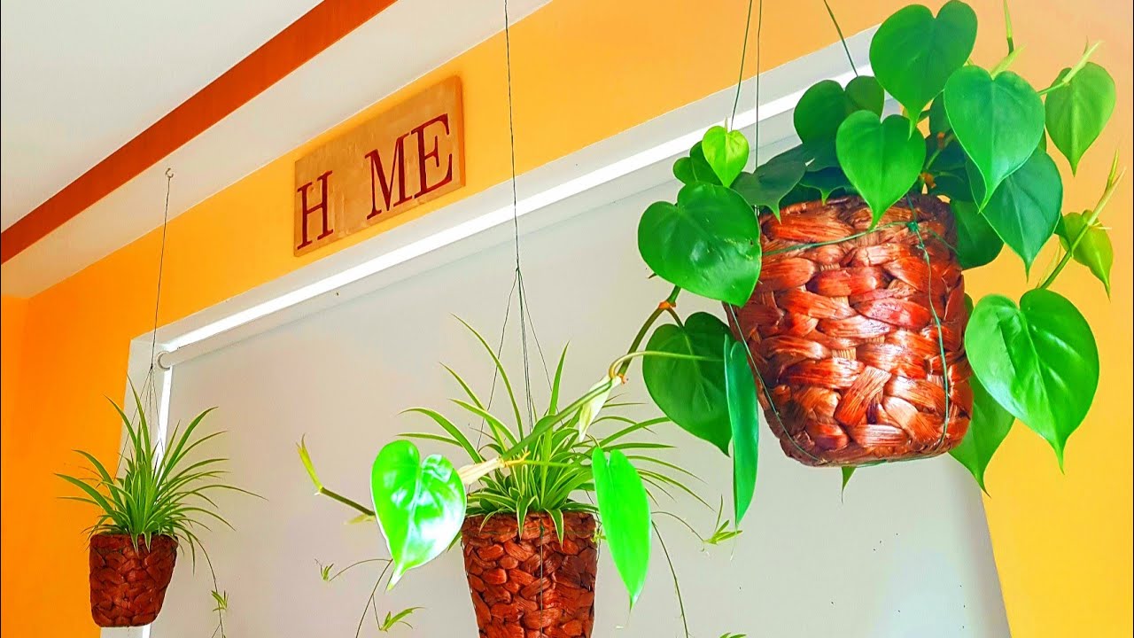 DIY-AFFORDABLE & EASY TO MAKE HANGING PLANT BASKET (PLANTER)