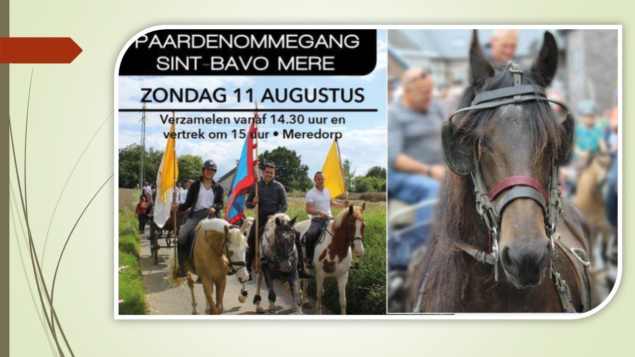 Paardenommegang 2024 MERE