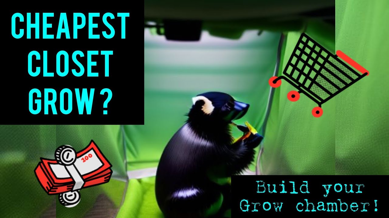 Cheapest Closet Grow Ever? Grow Big Plants Cheap and Easy #garden