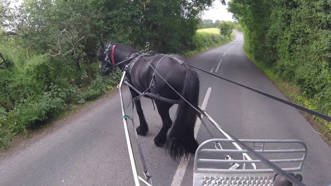 The First Time Out Single - with Archie the Fell Pony