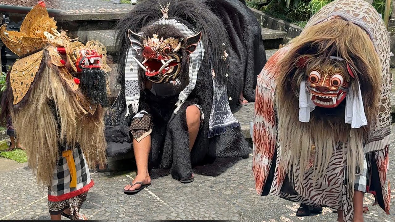 Barong Bangkung Ket Dan Macan Ngelawang Di Pengelipuran - Galungan November 2025