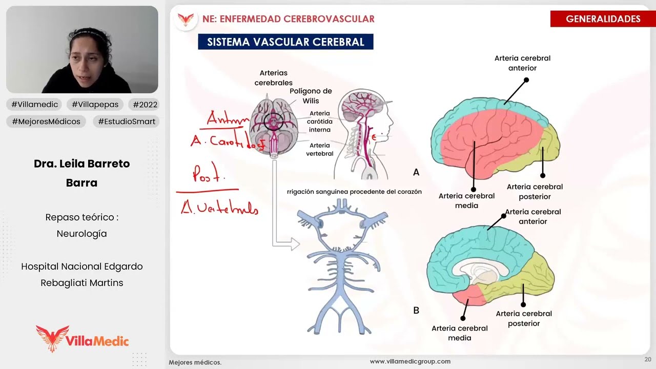 ENFERMEDAD CEREBROVASCULAR PARTE 1 - NEUROLOGÍA - VILLAMEDIC