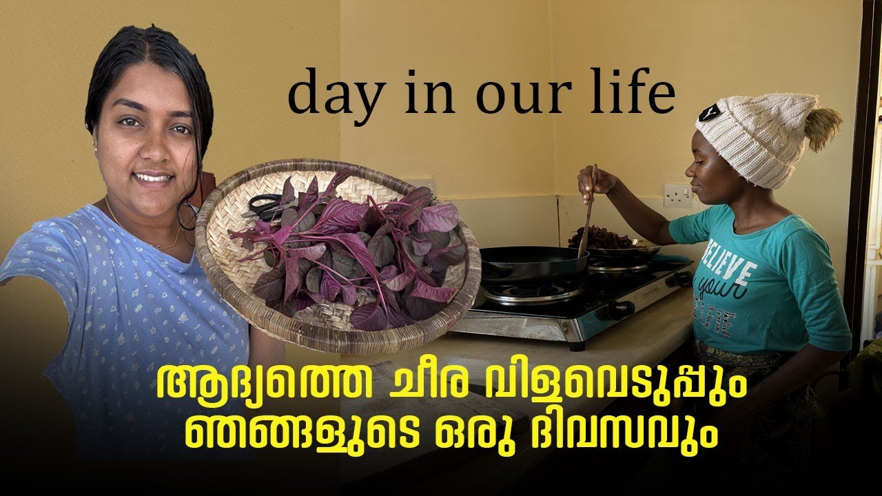 Spinach 🥬 harvest vlog & Day in our life 💖 LIFE OF ARUNSUMI ♥️
