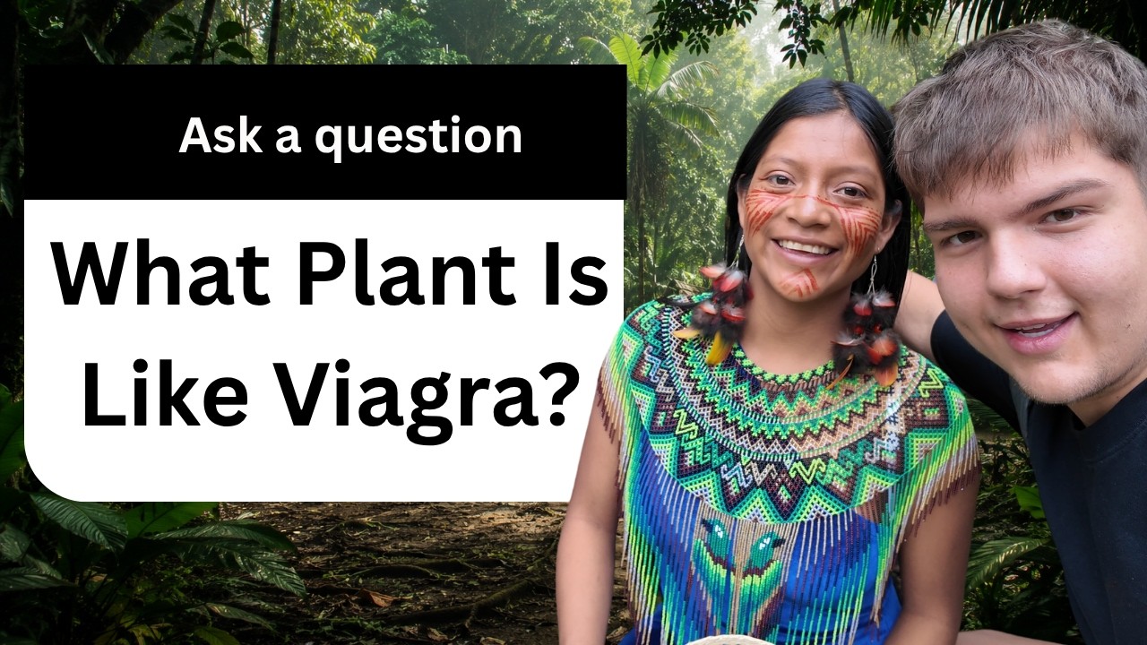 Inside the Amazon's Ancient Medicines