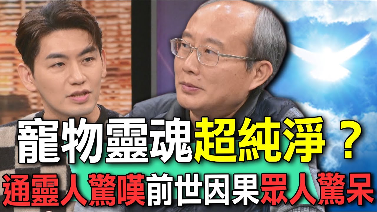 寵物靈魂超純淨？通靈人驚嘆前世因果眾人驚呆【新聞挖挖哇】