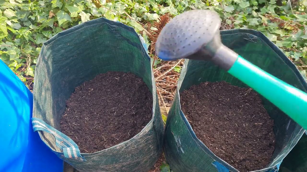 In de tuin bij Henk, aflevering 78, aardappelen en uitjes