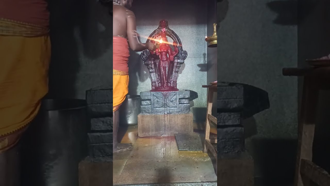 மஹா சக்தி ஸ்ரீ வனபத்ரகாளி அம்மன் சித்தர் பீடம் is live