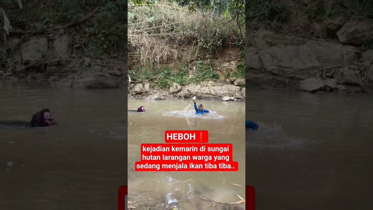 kejadian kemarin di sungai hutan larangan warga yang sedang menjala ikan tiba tiba 