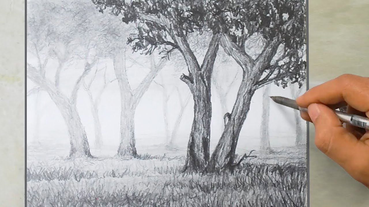 Beautiful Nature Drawing, Easy sketches to draw with pencil, Pencil Drawing Scenery