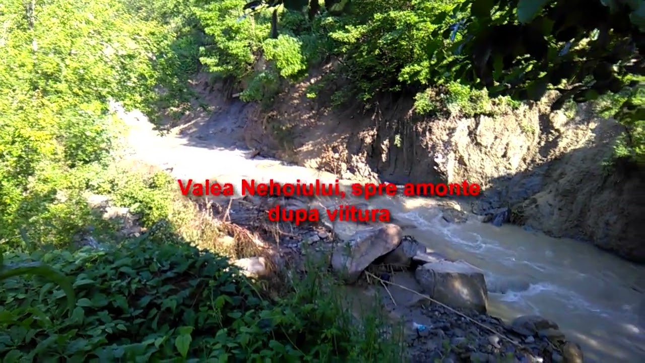 Viitura la Nehoiu, 4 iunie 2019.