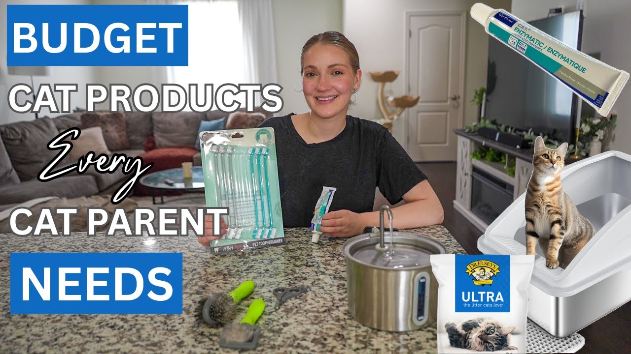 Must-Have Budget Cat Essentials Every Cat Parent Needs!
