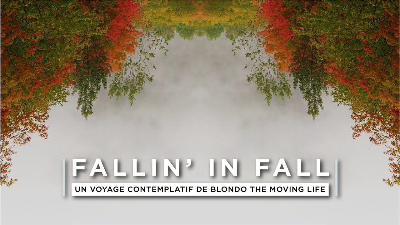 FALLIN' IN FALL - Travelling Serie - #Roadtrip #Canada