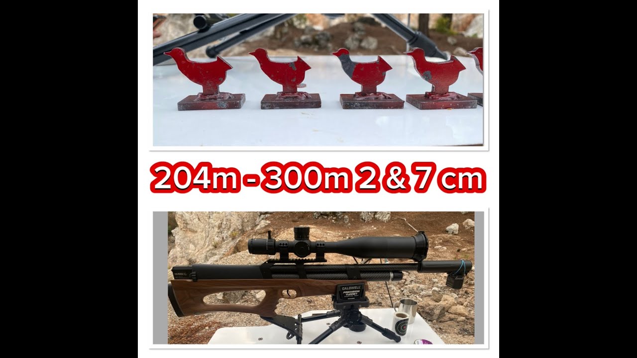 Huben k1 .22 cal 204 and 300 m - 2 - 7 cm target