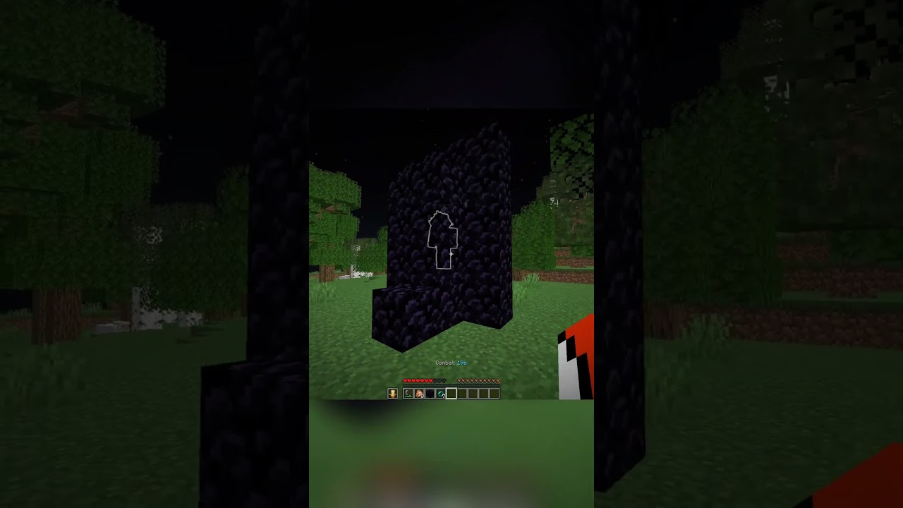 donut smp's BEST trap