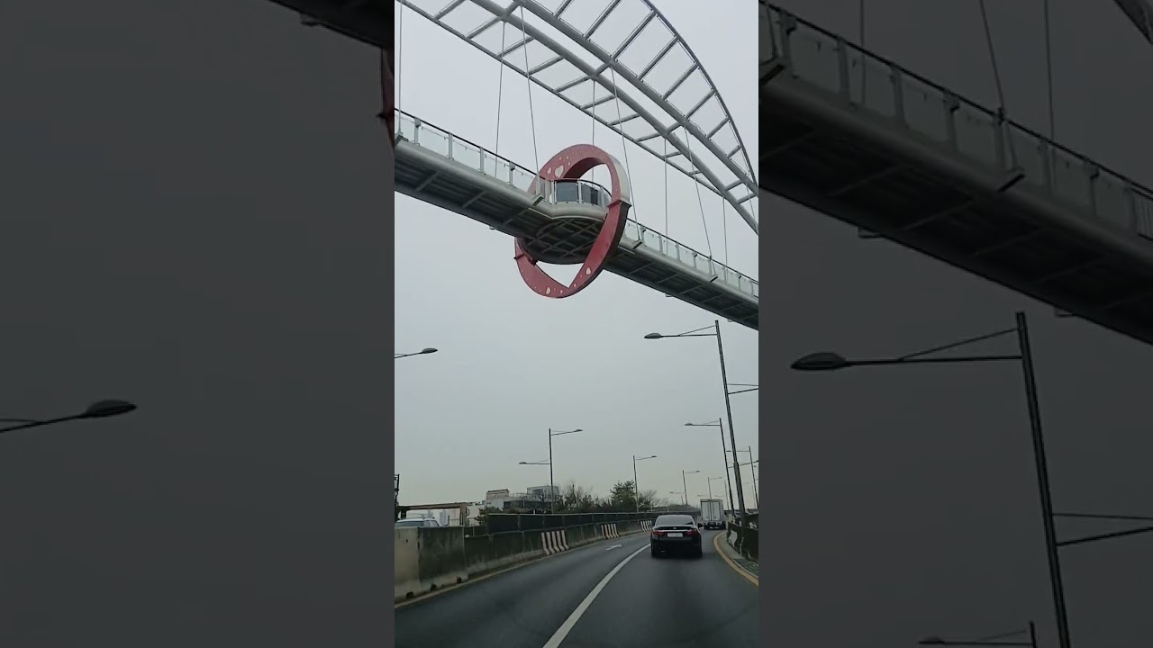앞산순화로 대곡에서 상동교까지 풀
