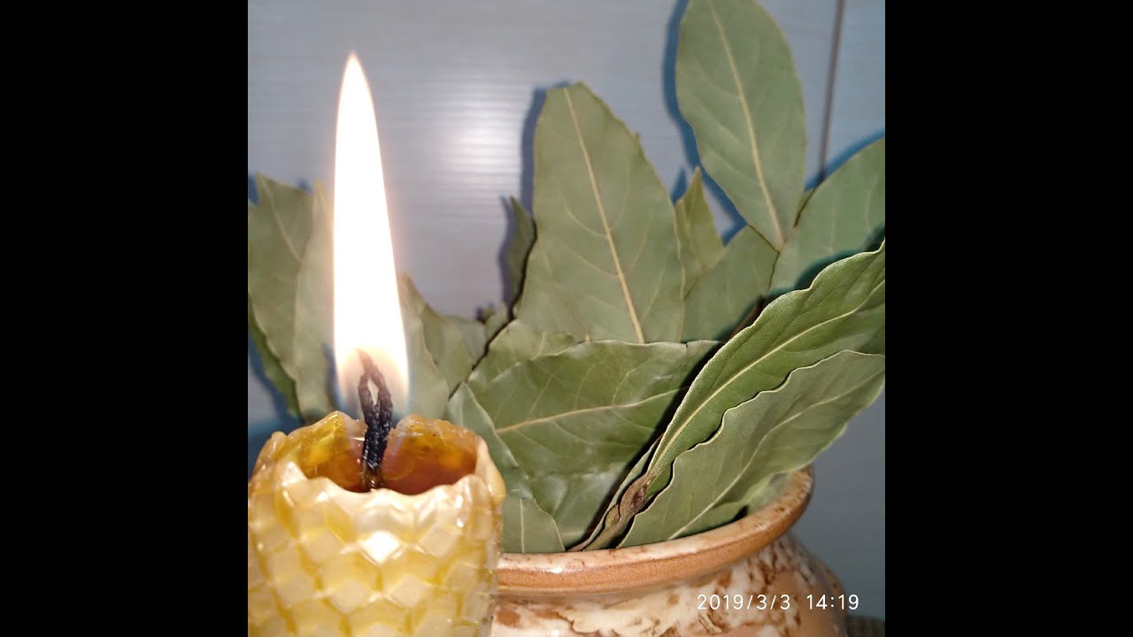 Растения нашей полосы для окуривания. Травки, растения для использования в свечной магии.