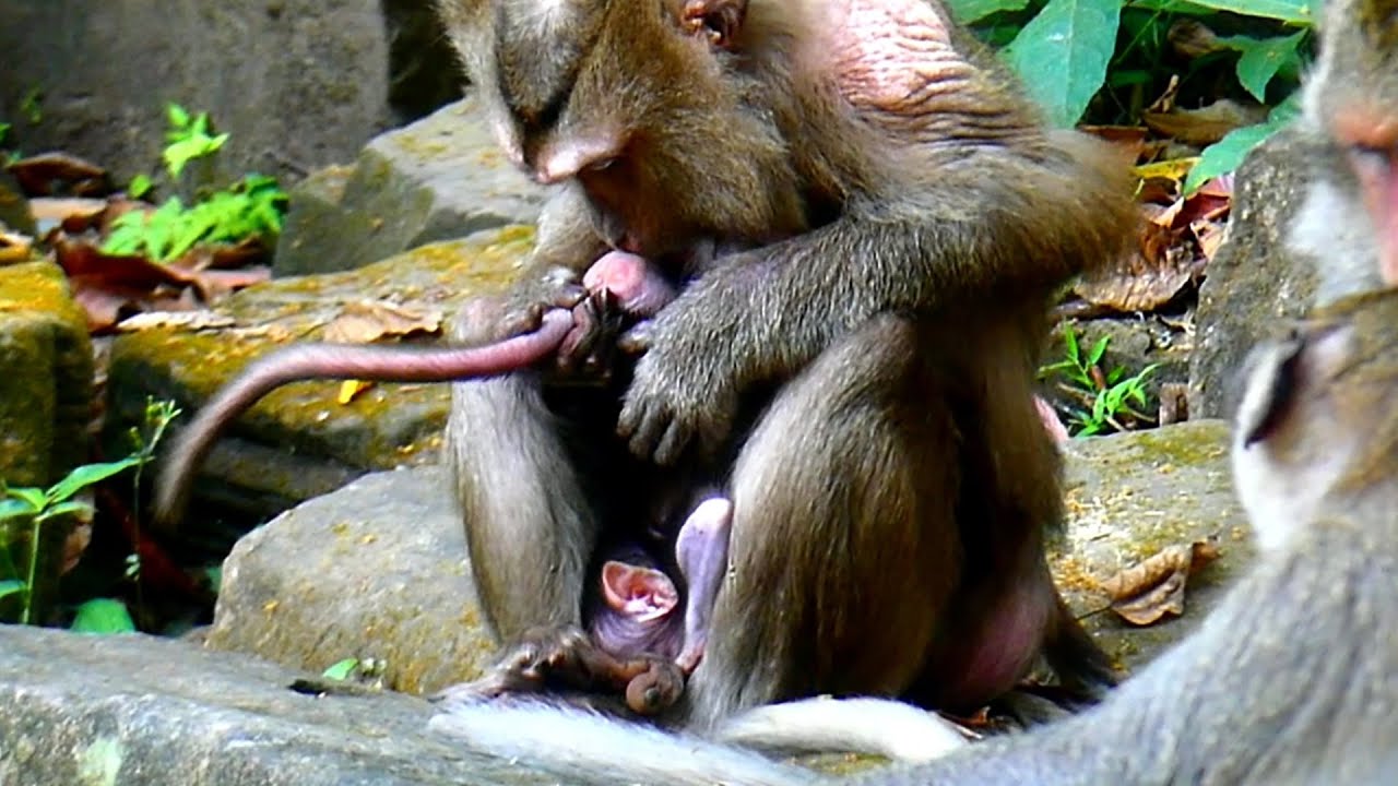 Oh..! How granny Kara do that on baby Bessie?