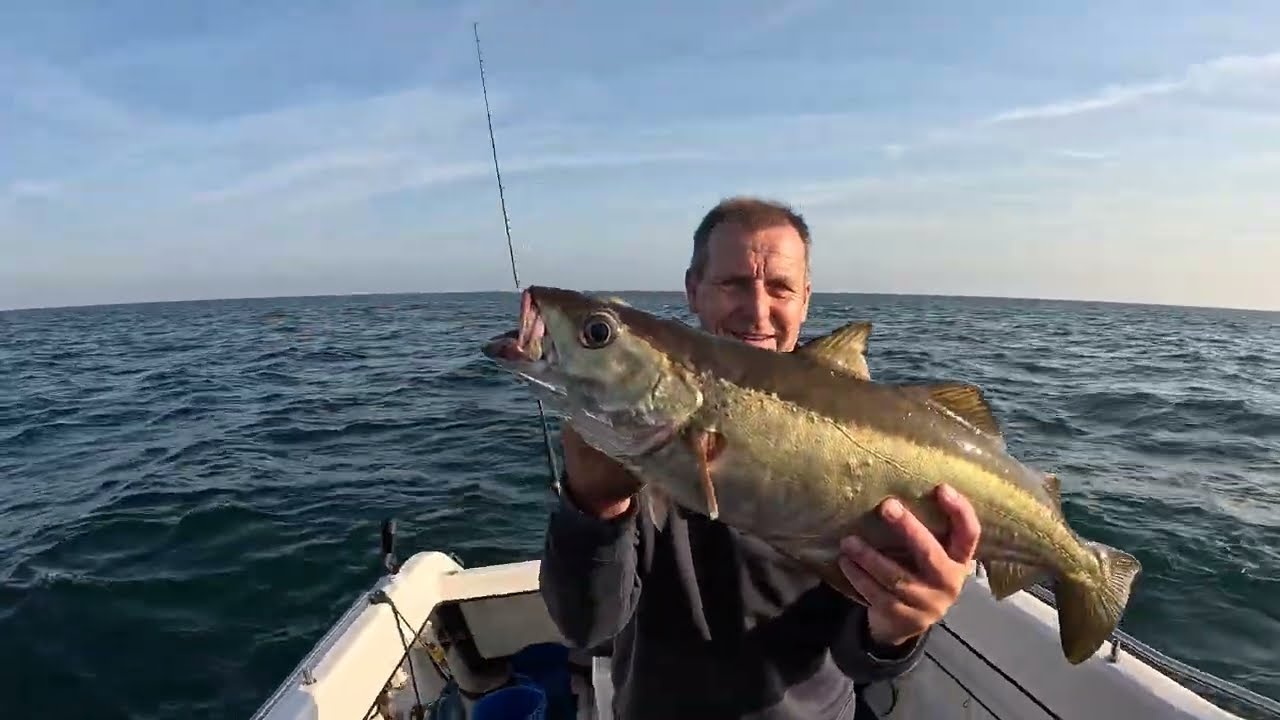 Pollock fishing on a wreck from my Warrior 175!
